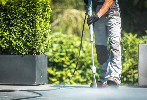 Best Roof Washing  in Ripon, CA