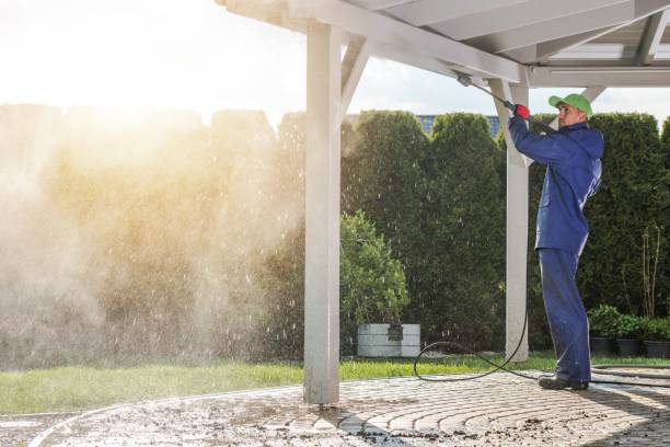 Best Gutter Cleaning  in Ripon, CA