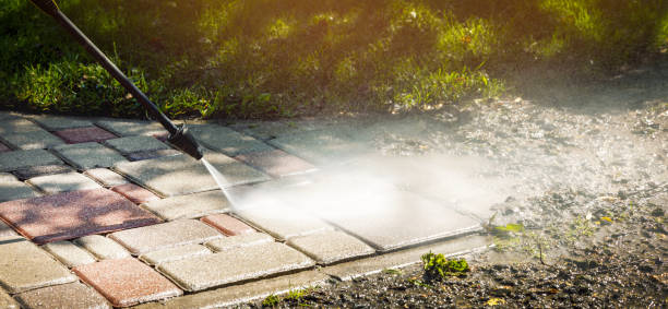 Best Building Exterior Washing  in Ripon, CA